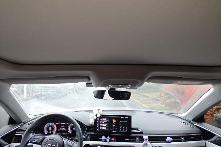 Used Audi A5 2023 Sportback 40 TFSI quattro Luxury Dynamic Edition Headliner