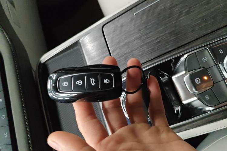 Used Ford Equator New Energy 2025 Luxury Edition
