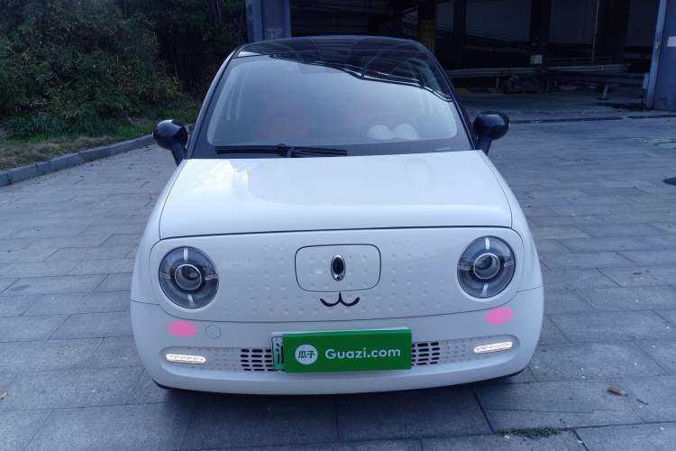 Used ORA Black Cat 2021 351 km Luxury Version