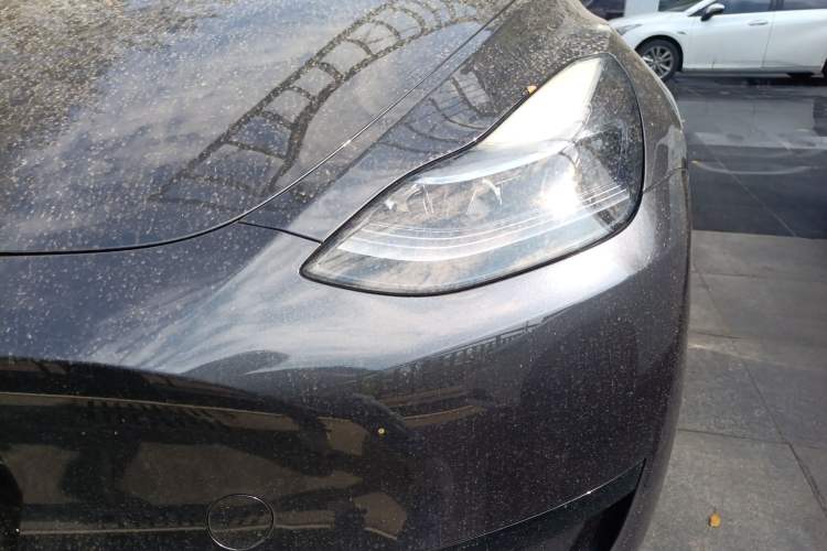 Used Tesla Model Y 2024 Rear-Wheel-Drive Version