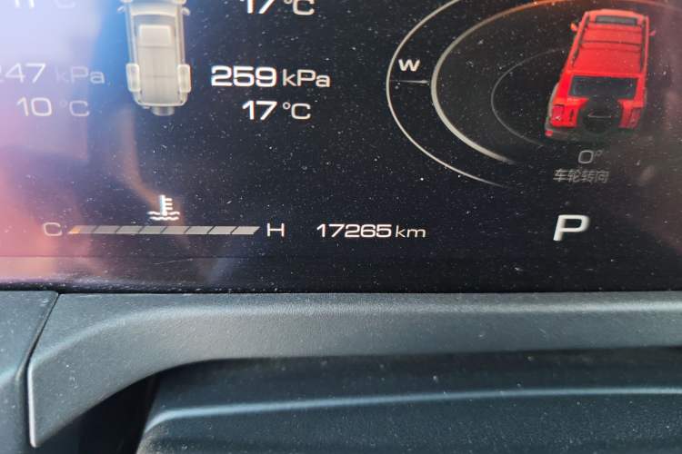 Used Tank 300 2024 2.0T Conqueror Odometer Close Up