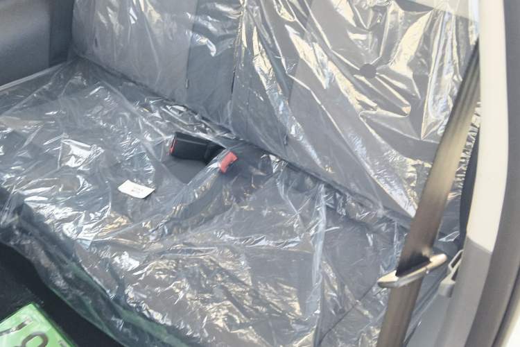 Used Qiyuan Lumin 2025 205 km Xiangqin Version
