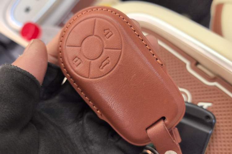 Used ORA Good Cat 2024 401 km Luxury Version