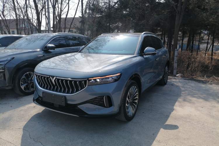 Used VOYAH FREE 2021 Four-Wheel Drive Standard All-Electric Exclusive Luxury Package