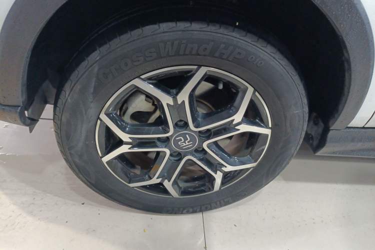 Used BYD Yuan Pro 2021 "Love for a Lifetime" Edition
