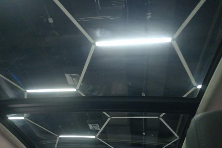 Used Hongqi H9 2020 3.0T Smart Connect Flagship Four-Seat Version Headliner