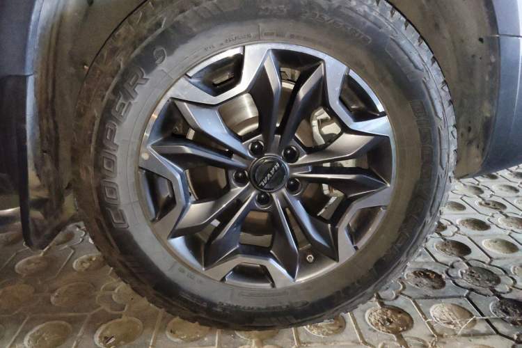 Used Haval DARGO 2022 2.0T DCT All-Wheel-Drive Xiaotianque Version