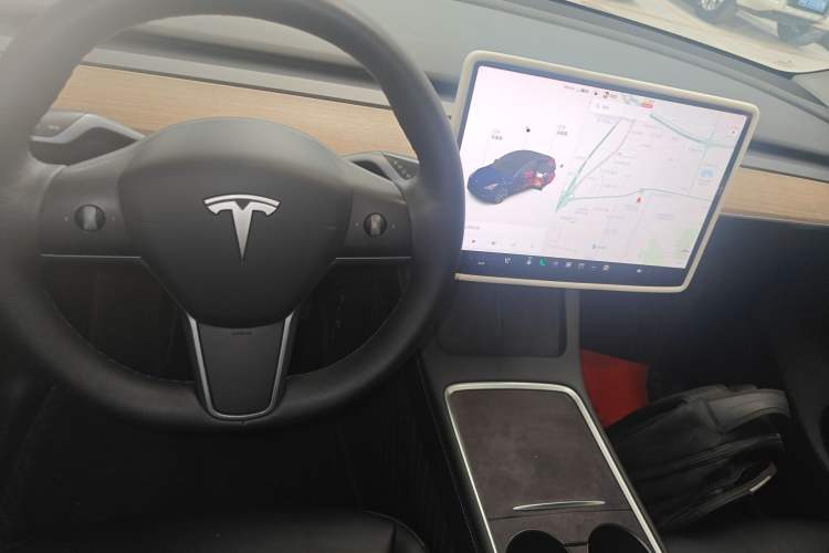 Used Tesla Model Y 2021 Standard Range Rear-Wheel Drive Version
