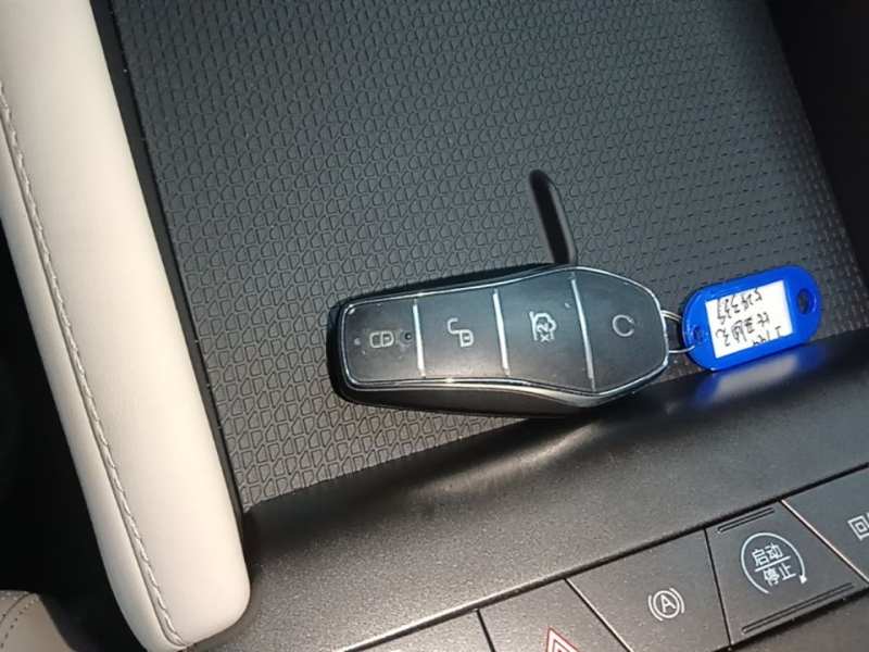 Used BYD Yuan UP 2025 Model 301KM Leading Version — 8