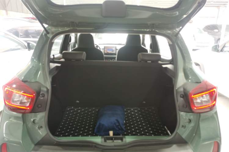 Used Dongfeng NAMMI EX1 2023 PRO Light Wind Edition Lightning Model