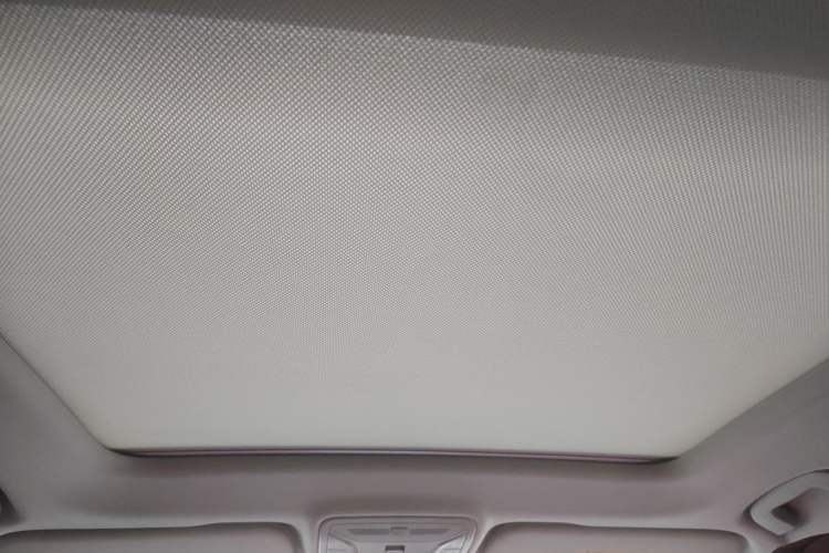 Used Hongqi HS5 2023 2.0T Four-Wheel Drive Flagship Pro 500 000th Unit Commemorative Edition Headliner