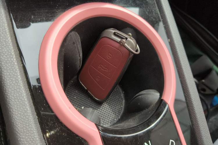 Used Chery QQ Little Ant 2022 Revised Version Sweet Pink Edition Half-Sugar Version Lithium Iron Phosphate 30.7 kWh 30 kW 301 km