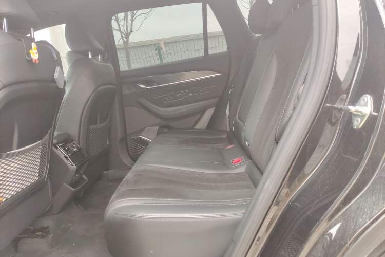 Used Geely Auto Monjaro L 2024 2.0TD High-Power Automatic Two-Wheel Drive Skyline Edition
