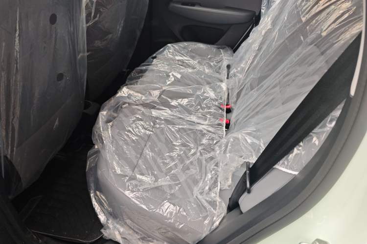 Used Leapmotor T03 2024 310 Comfort Edition Left Rear Seat