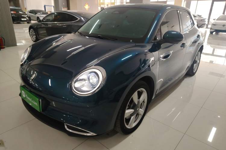 Used ORA Good Cat 2023 401 km Standard Range Luxury Version Lithium Iron Phosphate