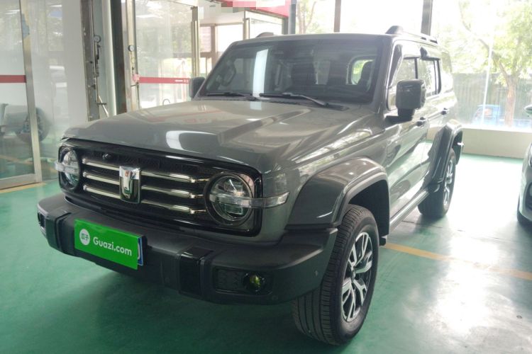 Used Tank 300 2024 2.0T Crosser