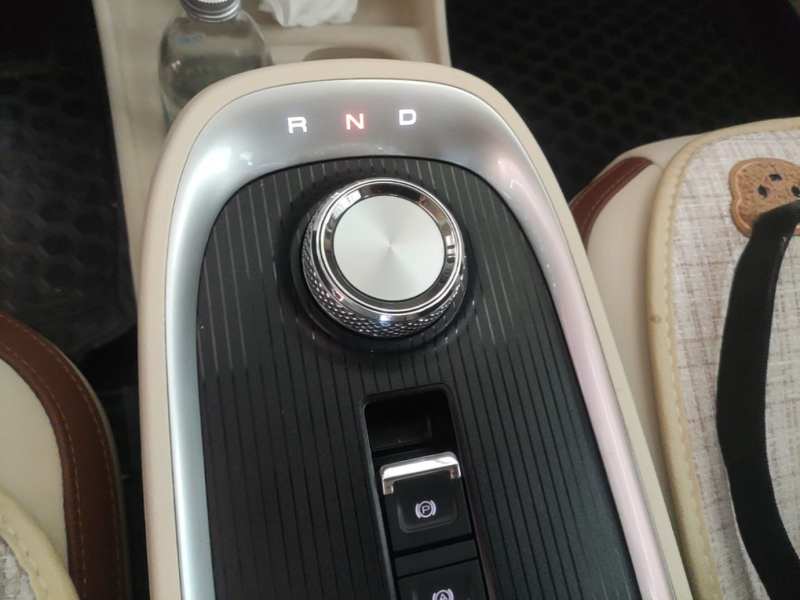 Used ORA Good Cat 2022 Morandi Edition 400km Standard Range Luxury Version Lithium-Ion Battery — 13