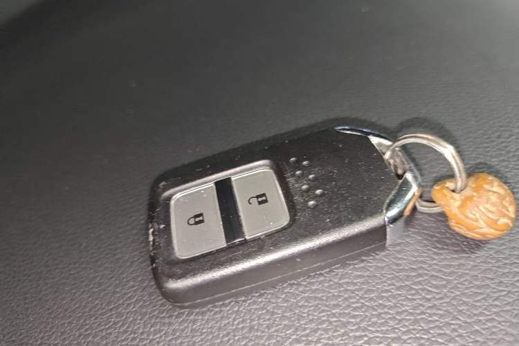 Used Honda XR-V 2020 220TURBO CVT Luxury Edition Interior 1