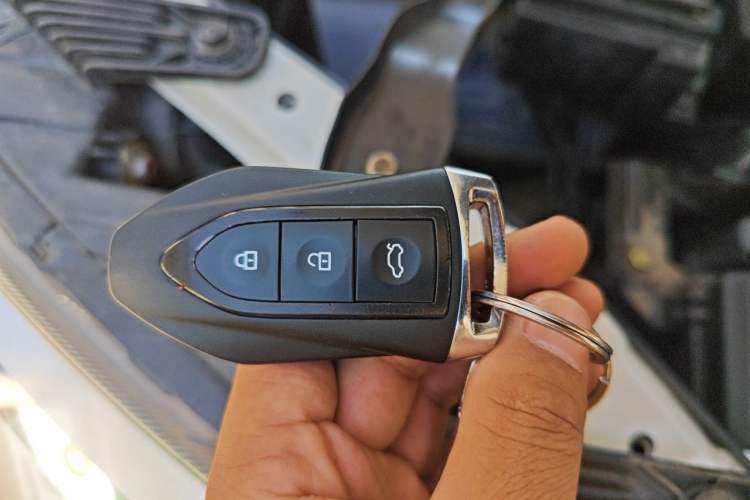 Used Leopaard CS10 2017 2.0T Automatic Urban Version

