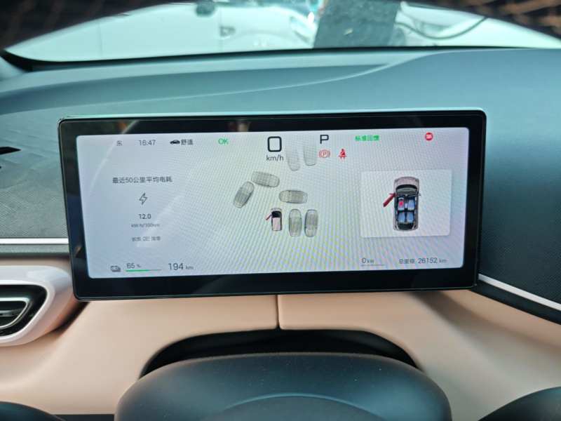 Used BYD Seagull 2025 Smart Drive Version 305 km Freedom Edition — 11