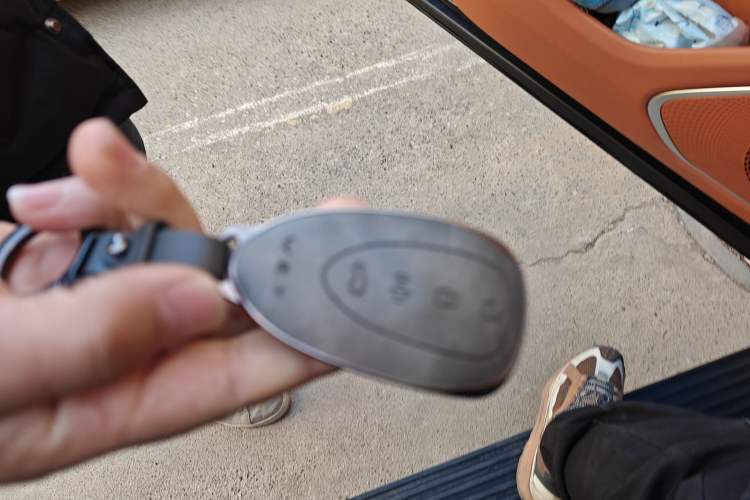 Used Wey Lanshan 2025 Four-Wheel Drive Max