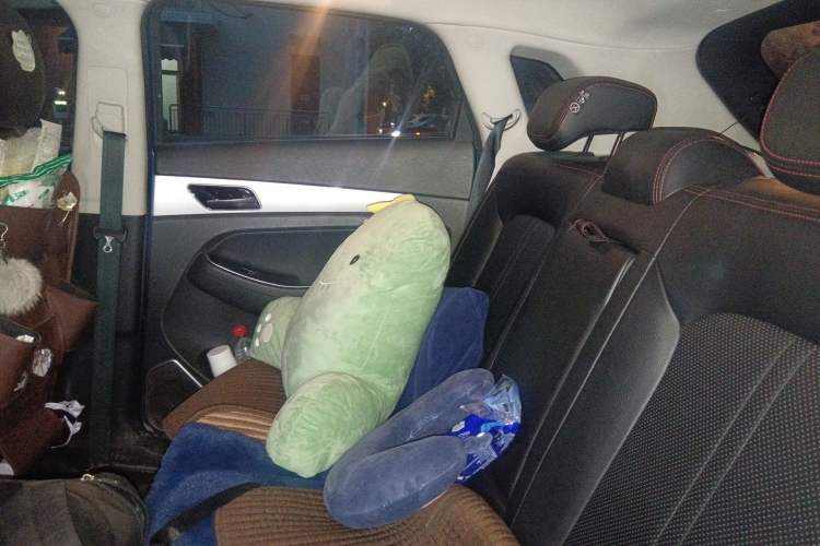 Used BAIC Senova X55 2016 1.5T CVT Elite Edition Left Rear Seat