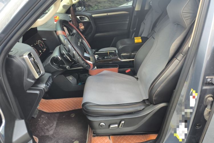 Used Haval DARGO 2021 2.0T DCT 4x4 Chinese Rural Dog Edition Left Front Seat