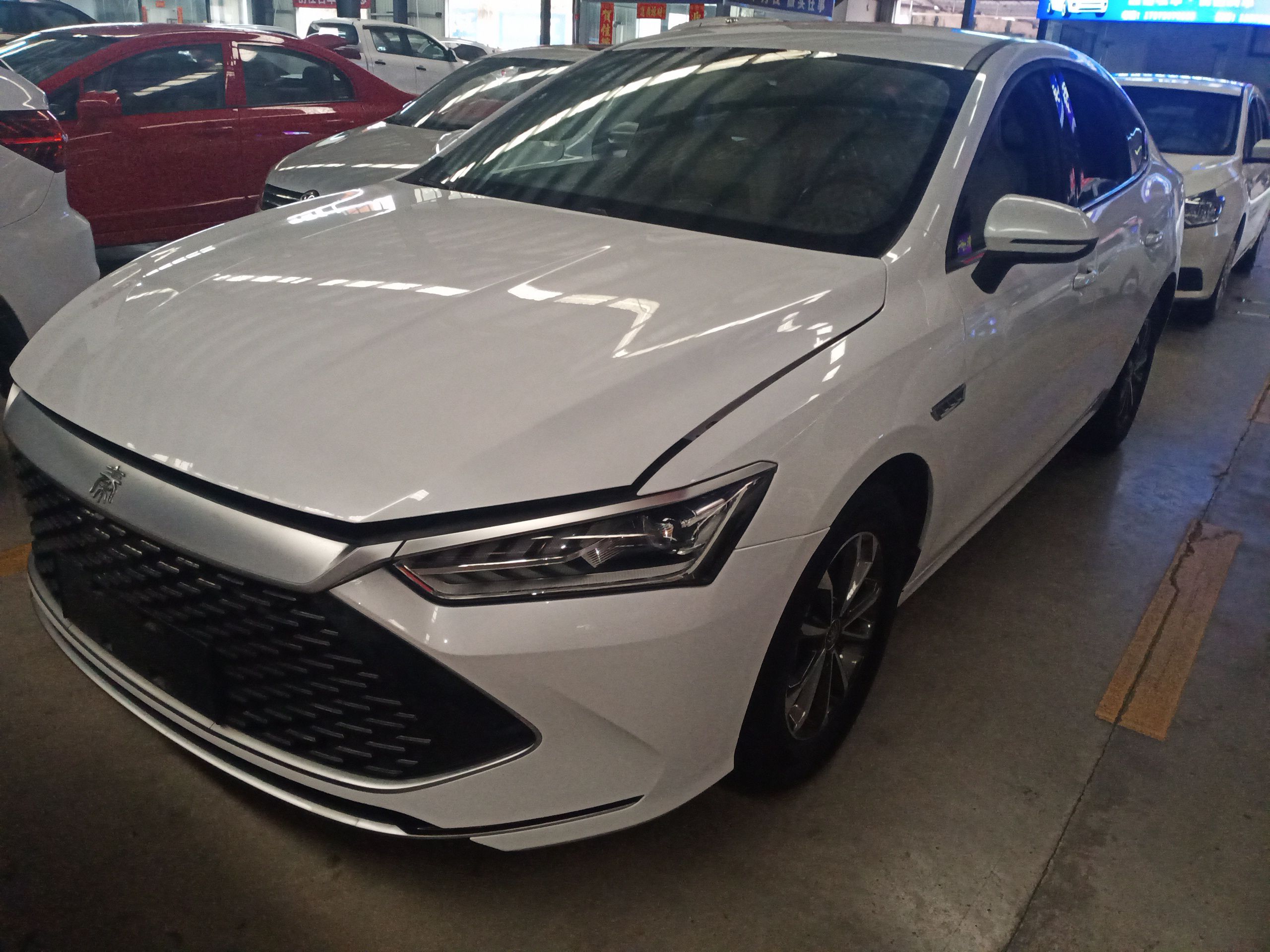 Parte inferior delantera