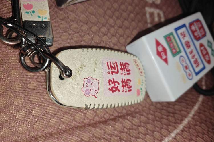 Used Dayun Yuehu 2022 30.66 kWh Two-Wheel Drive Standard Version