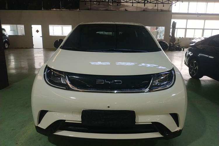 Used BYD Dolphin 2023 420 km Free Version Front