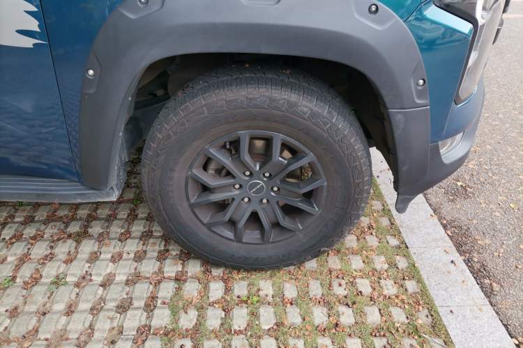 Used Foton Mars 2023 Mars 7 2.0T Diesel Automatic 4x4 Long-Wheelbase Luxury Model