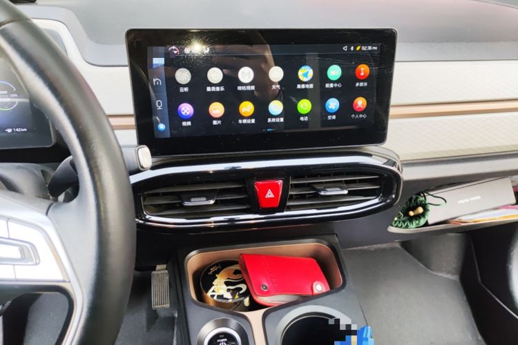 Used SOL E10X 2022 Flower Fairy Style Baby's Breath