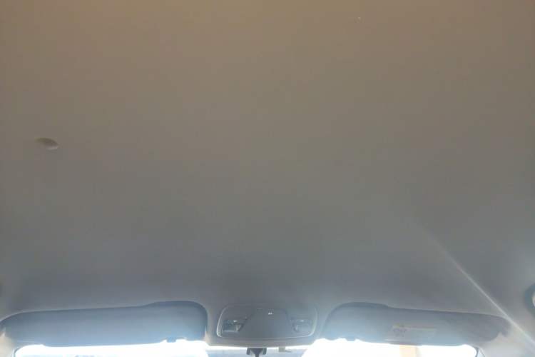 Used Geometry EX3 Kung Fu Cow 2021 Tough Bull Cow