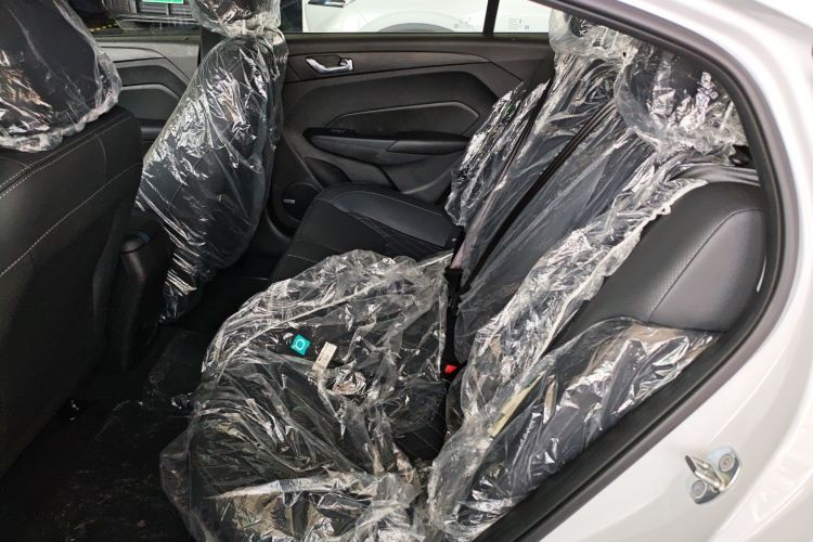 Used SINOGOLD Junxing 2023 Standard Model Left Rear Seat