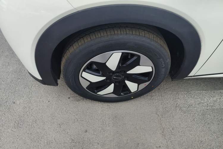 Used BYD Dolphin 2025 420km Free Edition