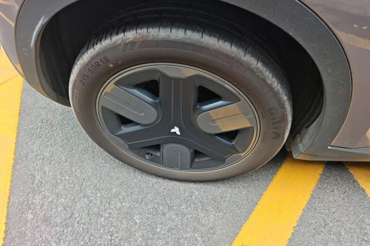 Used firefly firefly 2025 Illuminated Edition
