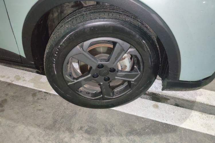 Used Geometry E Firefly 2022 401 km Linglong Tiger 5 Seats