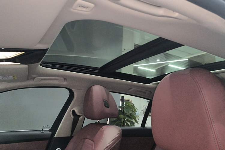 Used BMW 3 Series 2021 Second Facelift 320Li M Sport Package Headliner