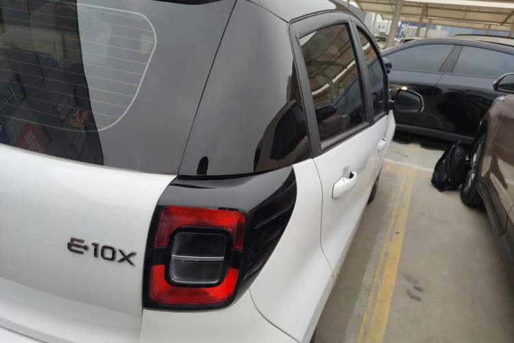 Used SOL E10X 2022 Flower Fairy Style Baby's Breath