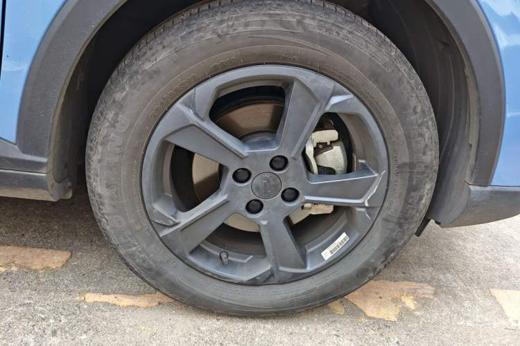 Used Geometry E Firefly 2022 401 km Linglong Tiger 4 Seats
