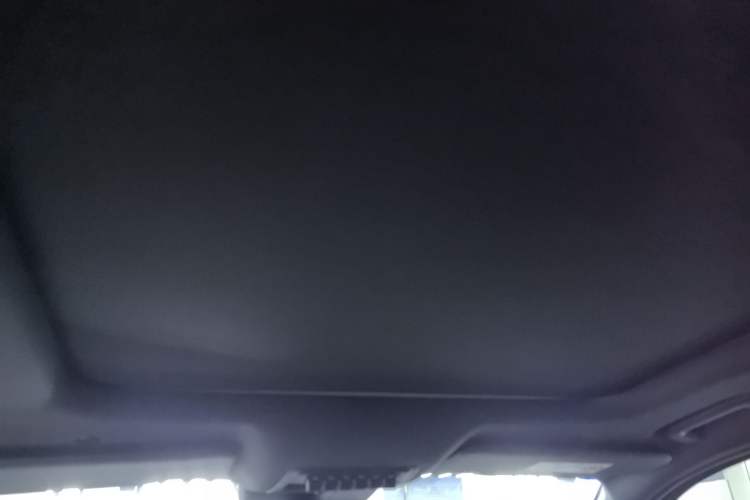 Used Ford Ranger 2023 1st Edition Gasoline Model