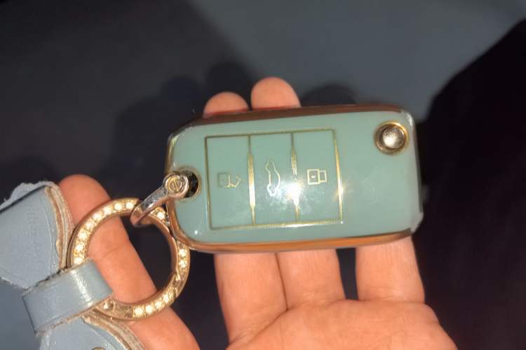 Used MG ZS 2018 1.5L Automatic Luxury Edition China V Standard Vehicle Key