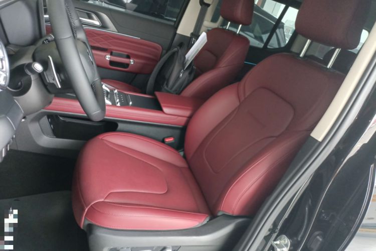 Used Tank 300 2025 2.4T Diesel Version