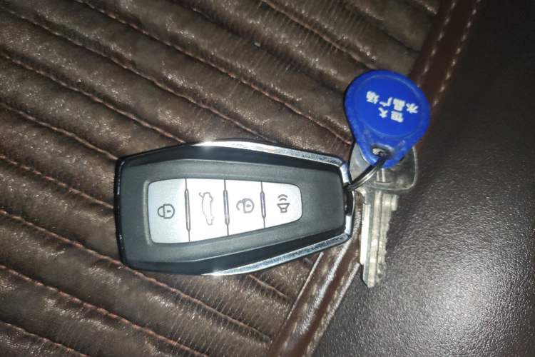 Used Livan Maple 80V 