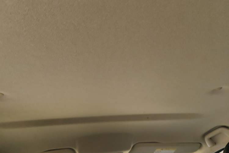 Used Great Wall Poer 2021 2.0T Commercial Version Automatic Diesel Two-Wheel Drive Elite Trim with Long Bed – GW4D20M Headliner