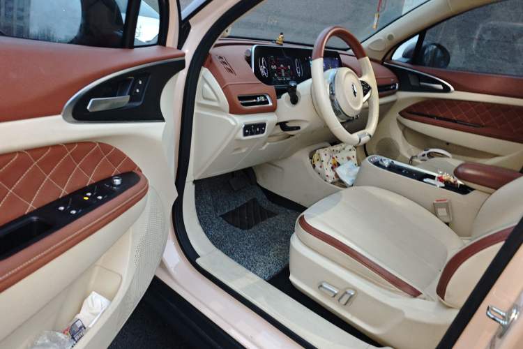 Used ORA Good Cat 2021 400km Standard Range Athena Edition Lithium-Ion Battery
