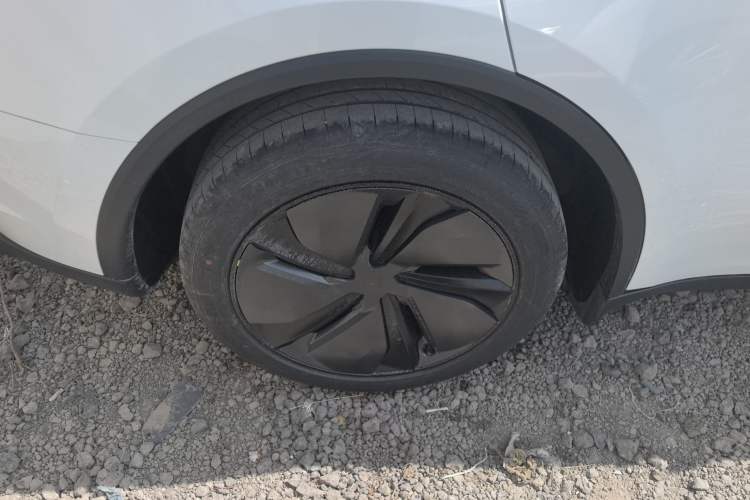 Used Tesla Model Y 2026 Rear-Drive Model
