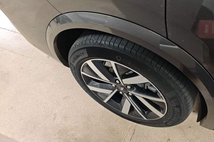 Used Li Auto L8 2023 Max model