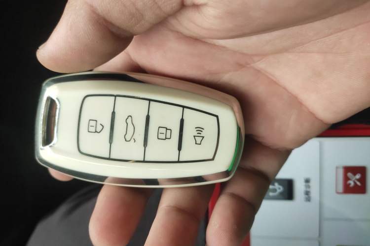 Used ORA White Cat 2020 401 km Long-Range Version