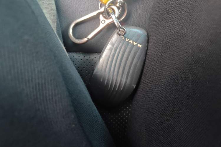 Used Haval H Dog New Energy 2023 DHT-PHEV 105km Tide Electric Version Plus